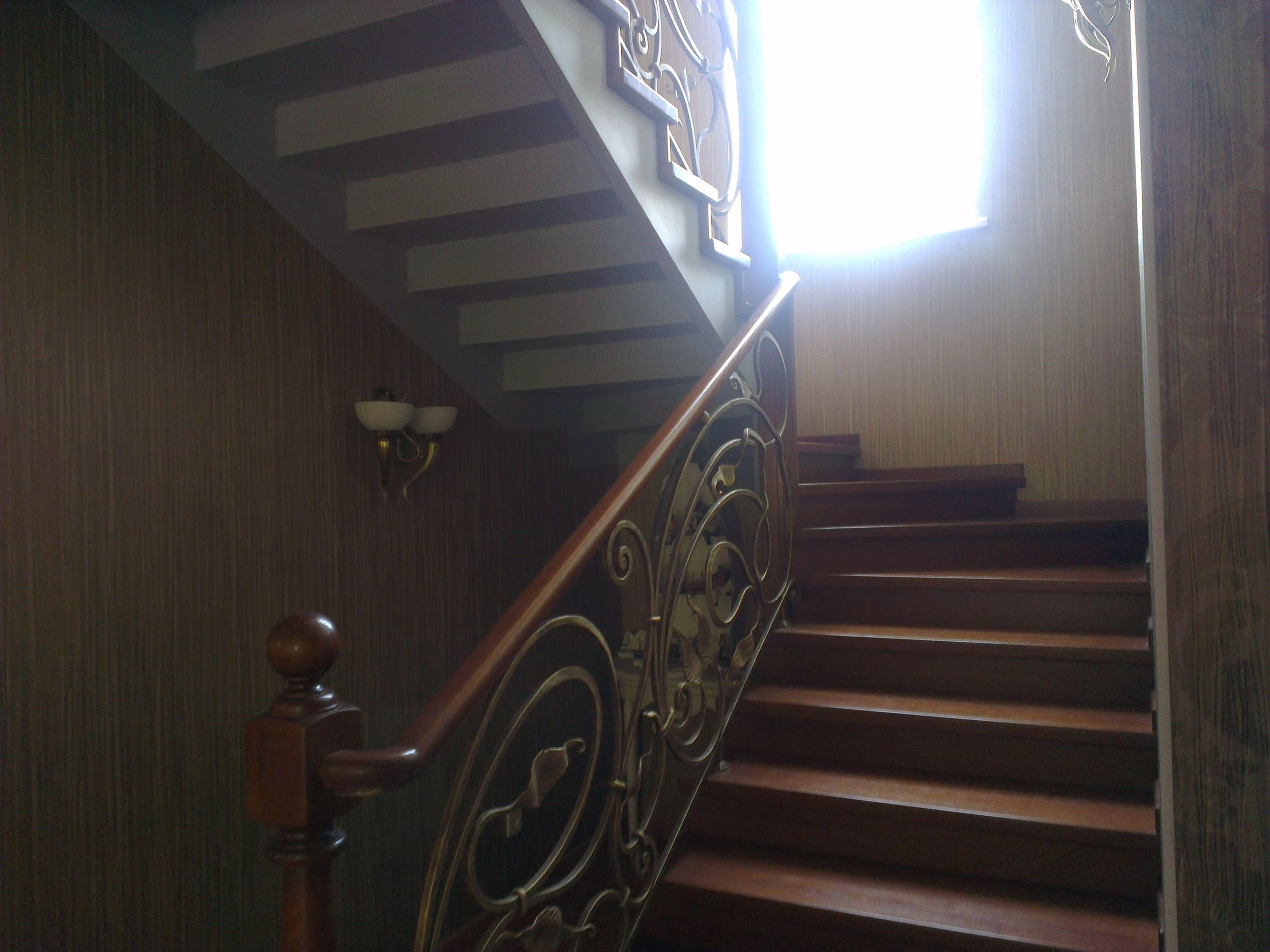 41